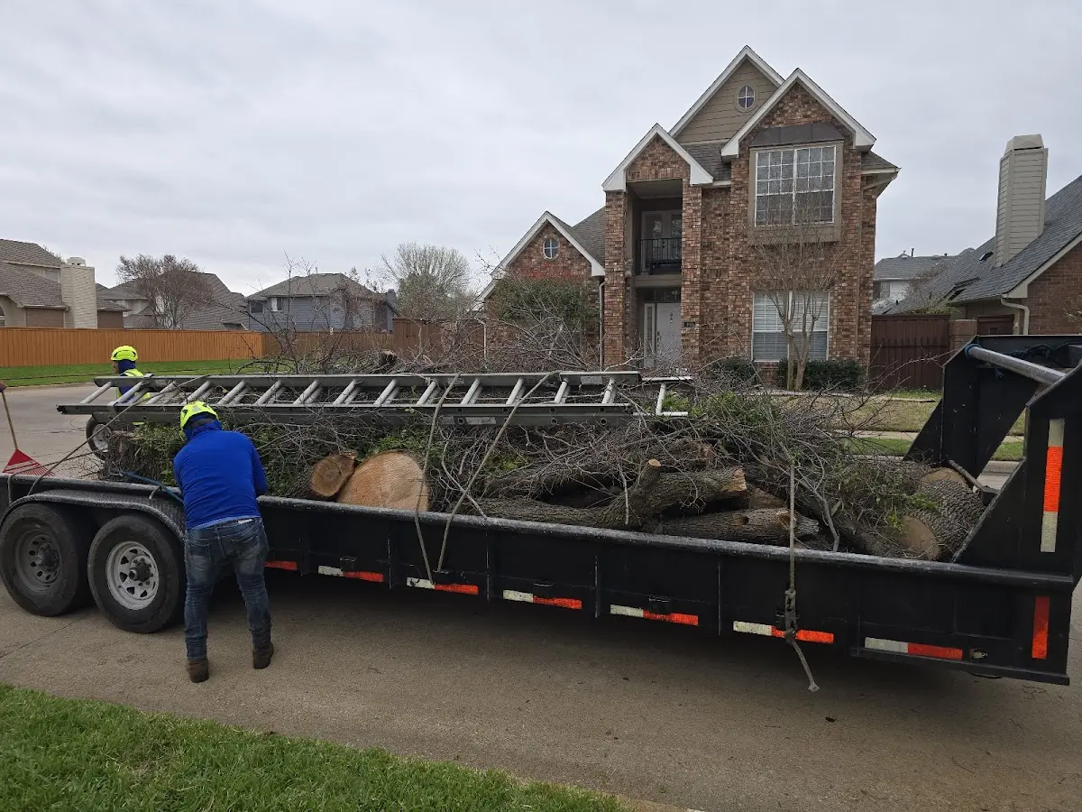 Expert Tree Pest Control with proper safety equipment in Hazlehurst